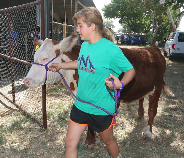 Youth activities at Kings Fair